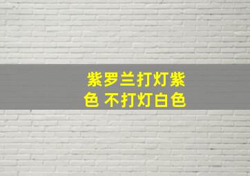 紫罗兰打灯紫色 不打灯白色